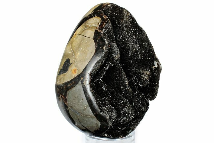 Septarian Dragon Egg Geode - Sparkly Black Crystals #308808
